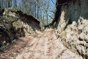 wąwóz w Kazimierzu Korzeniowy Dół