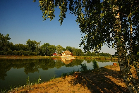 Karczma Rybna piknik